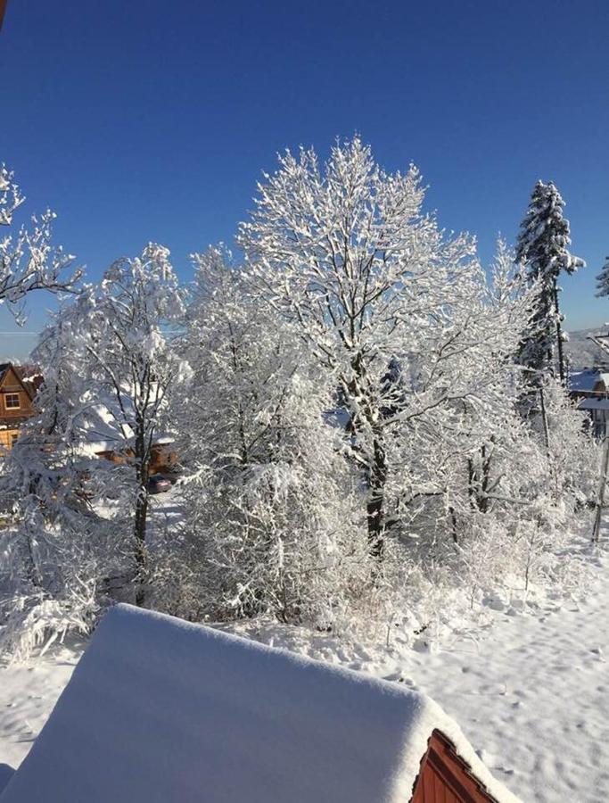 Apartament Poleczka Zakopane Koscielisko Exterior foto